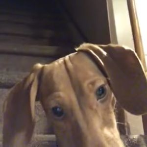 Meet your Posher, Leeanna